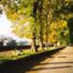 Holiday Apartment Rental In Lucca